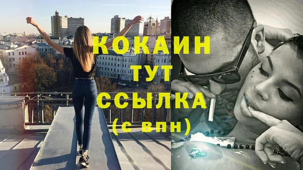 spice Гусев