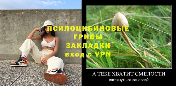 крисы Горнозаводск