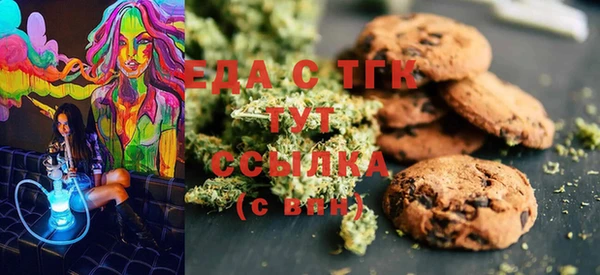 spice Гусев