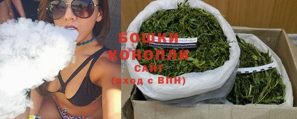 spice Гусев