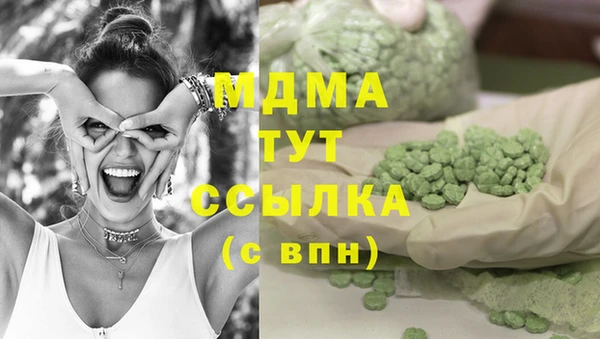 spice Гусев