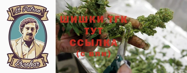 меф Горняк