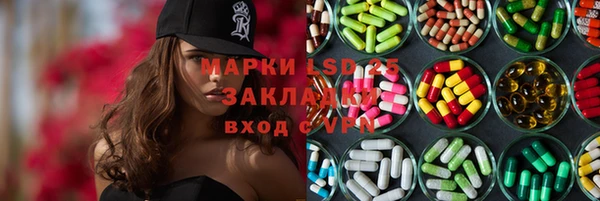 spice Гусев