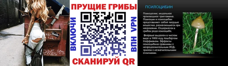 Псилоцибиновые грибы ЛСД  цена   Губкин 