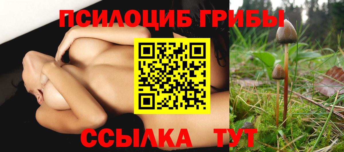 Псилоцибиновые грибы ЛСД Губкин