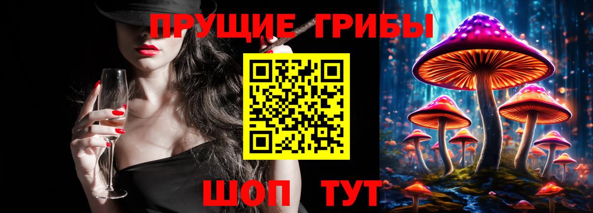 купить наркотики сайты  Галлюциногенные грибы ЛСД  Губкин  Вход с VPN  Галлюциногенные грибы мухоморы 