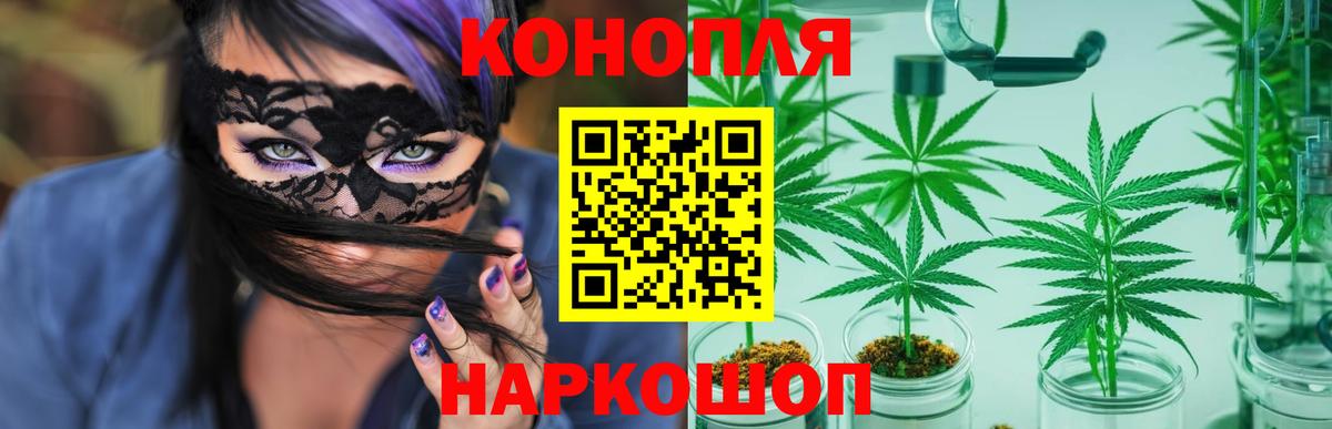 Бошки марихуана ГИДРОПОН  Бошки марихуана Bruce Banner  Конопля AK-47  МАРИХУАНА VHQ  Губкин 