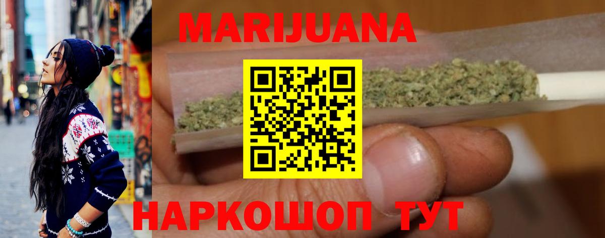 Канабис гибрид Губкин